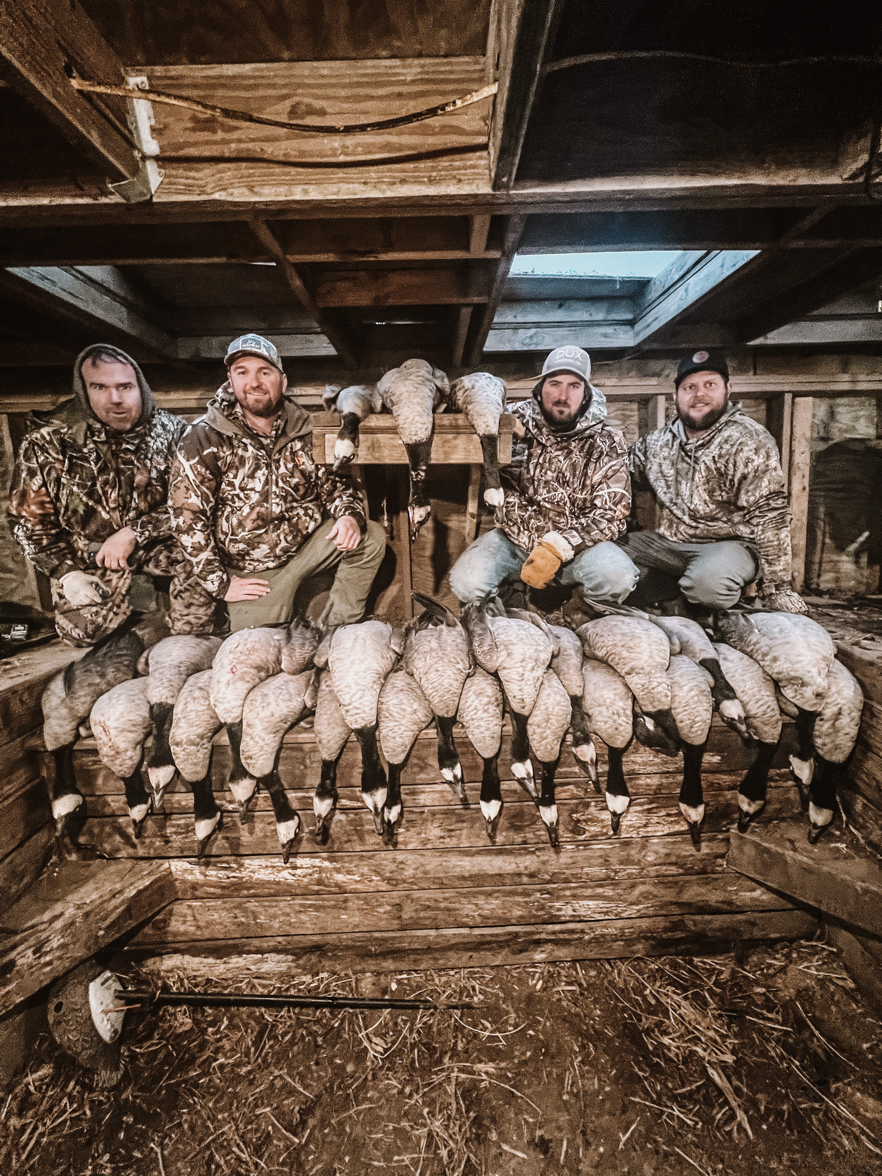 Hunters with full goose limit in Minnesota field