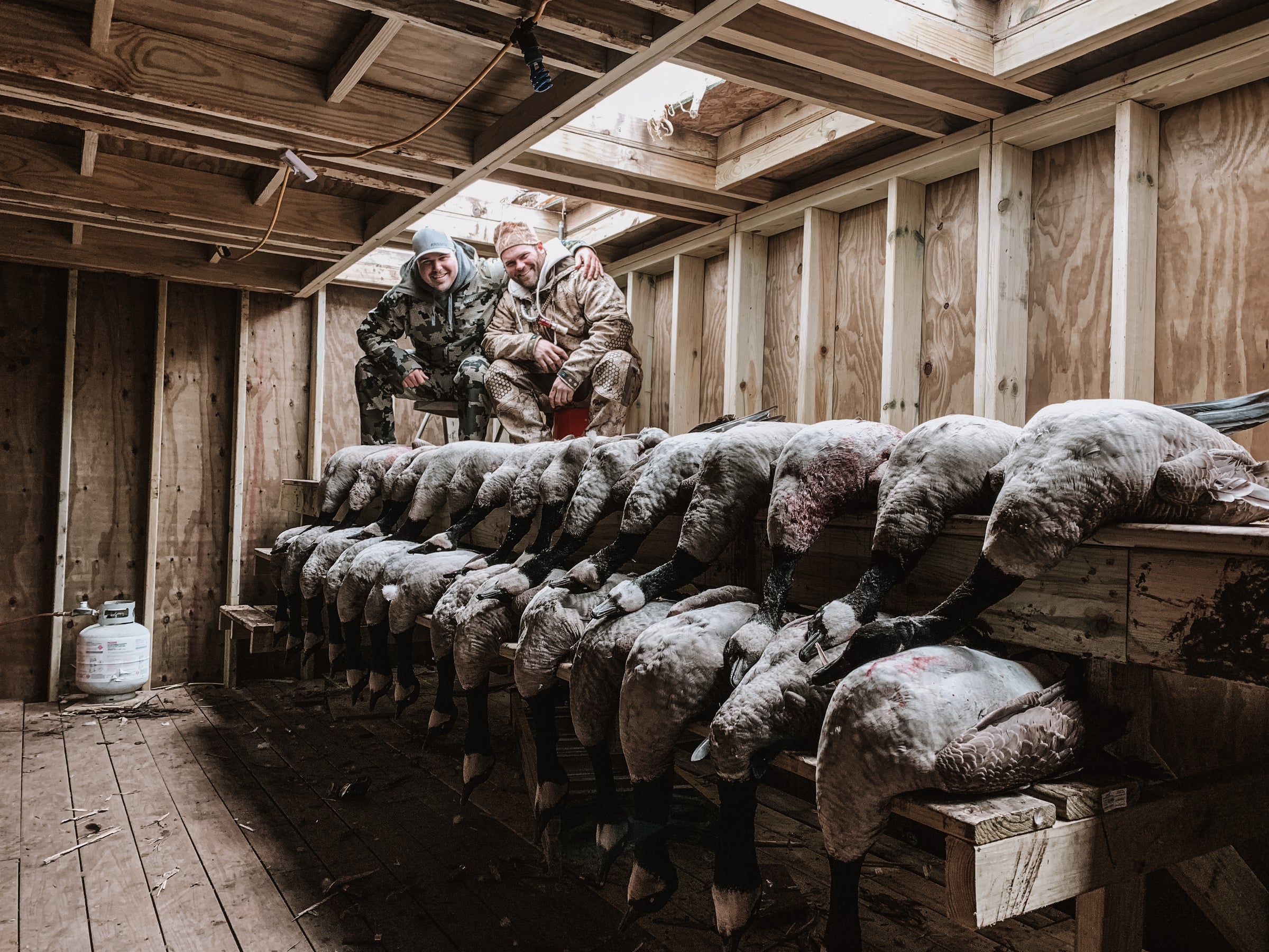 Pit Blind Goose Guides Minnesota